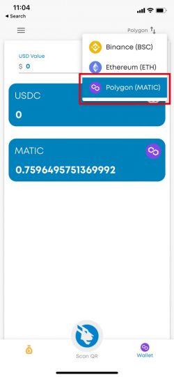 STEPS to Send Multiple NFTs from iOWN wallet -01