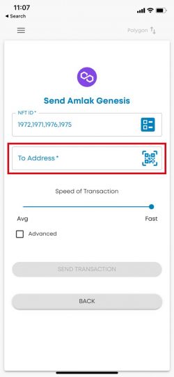 STEPS to Send Multiple NFTs from iOWN wallet -05